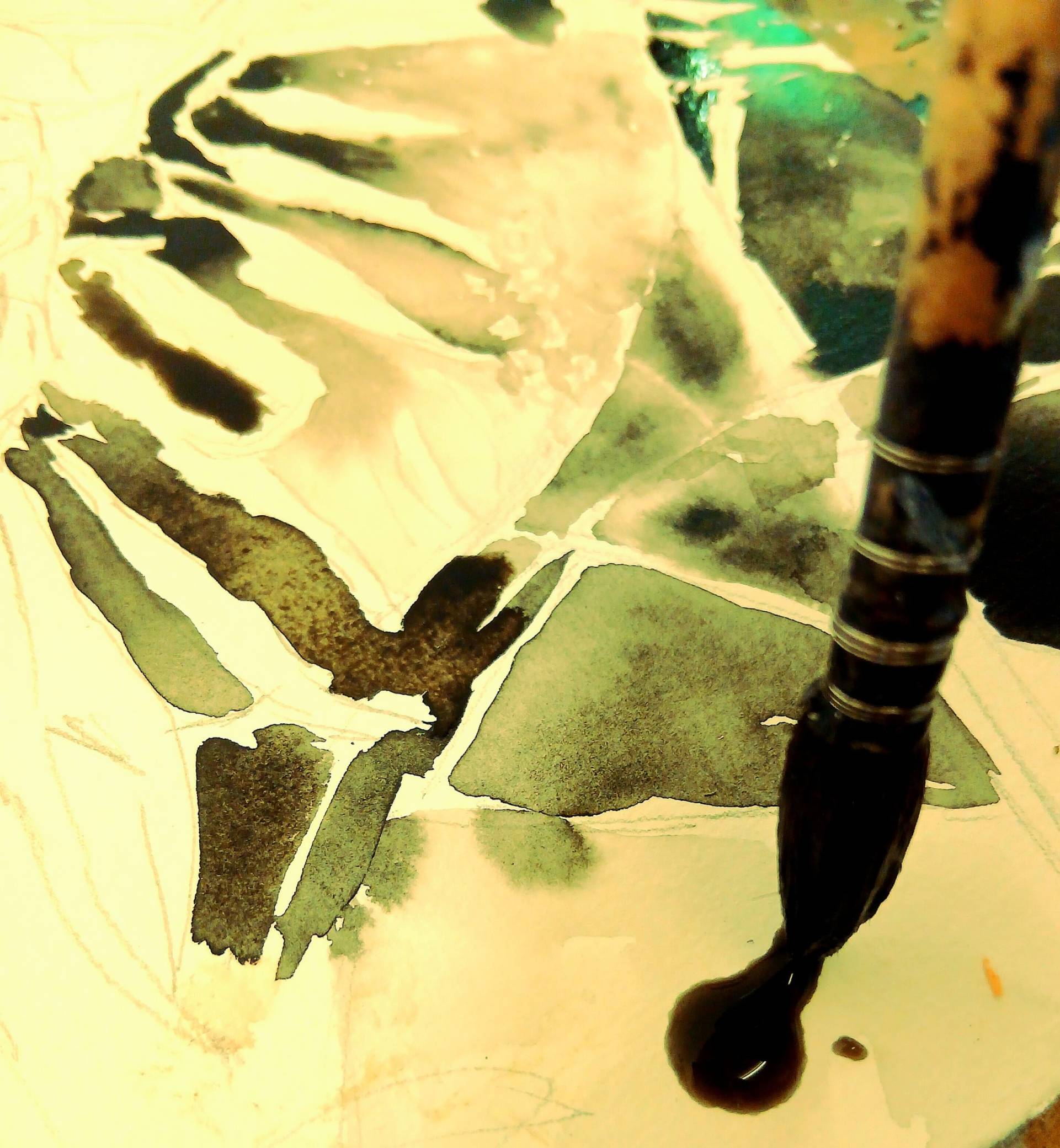 stage aquarelle